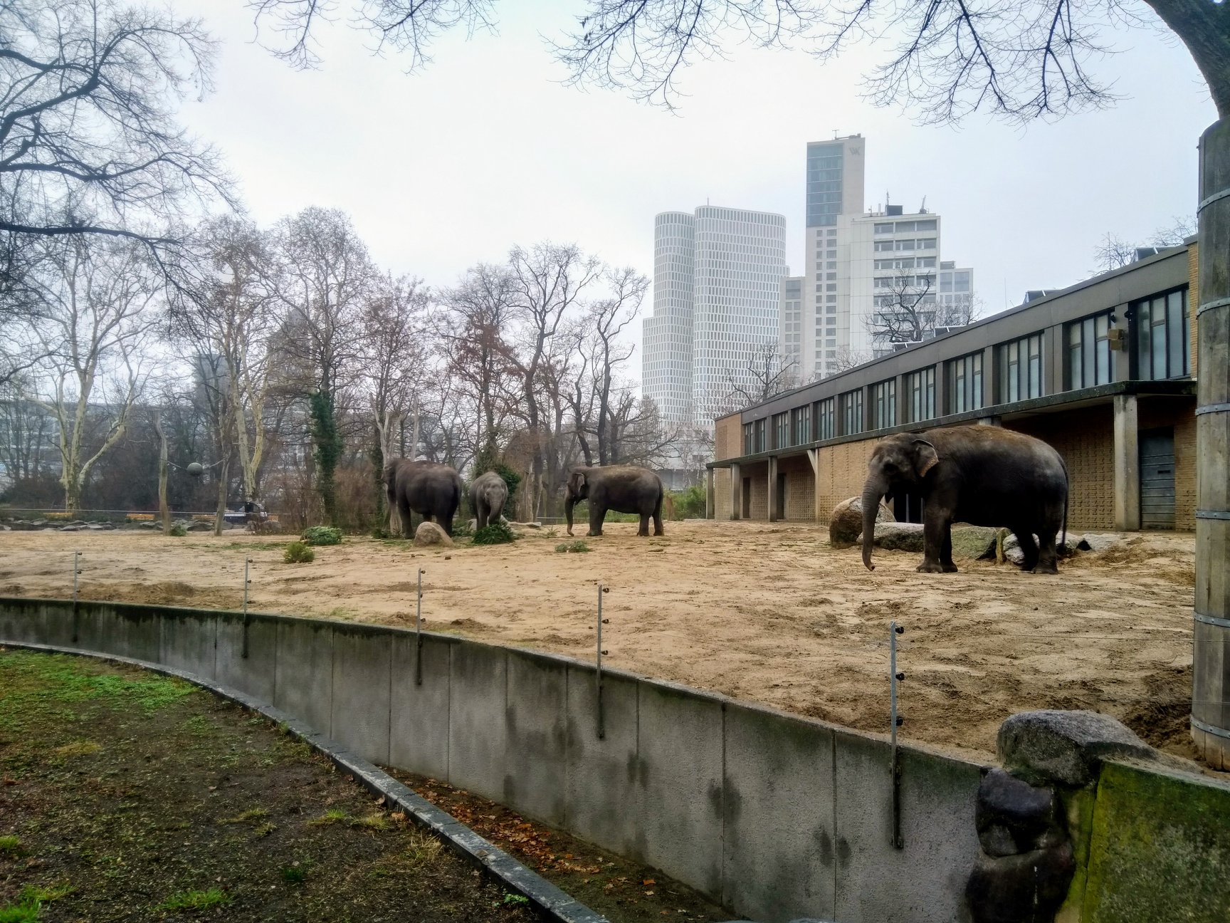 Sint-Martinus den XIIde - Winterkamp VK Berlijn